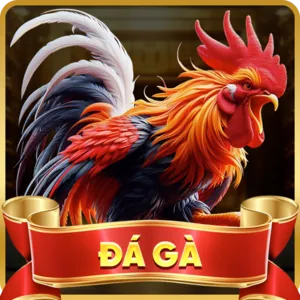 Cá cược đá gà SX666