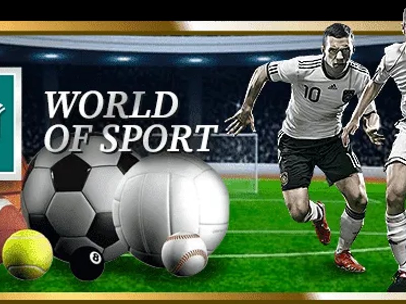 Người chơi đang nghiên cứu chiến lược cá cược